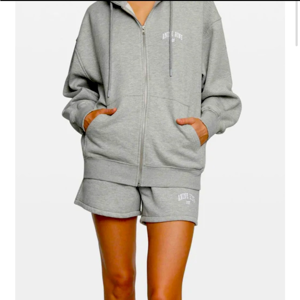 Anine bing zane hoodie